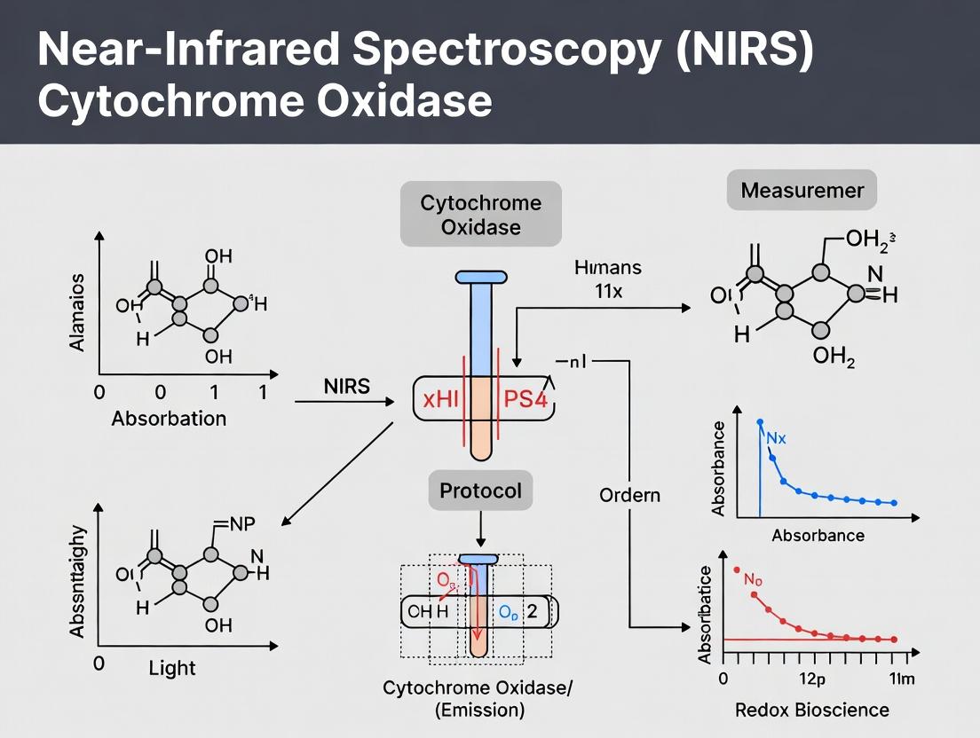 Measuring Cerebral Metabolism: A Practical Guide to NIRS Protocols for Cytochrome-c-Oxidase in Human Research
