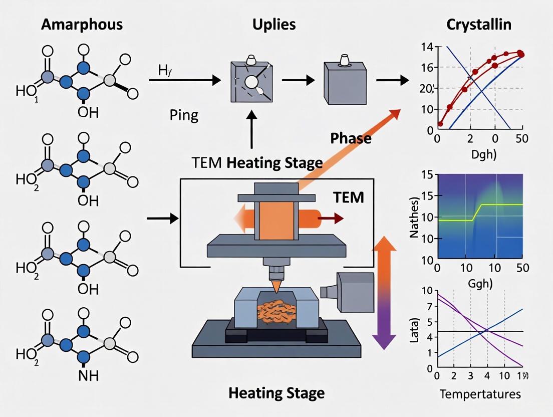 In Situ TEM Heating Stages: Real-Time Nanomaterial Phase Evolution for Advanced Materials Design