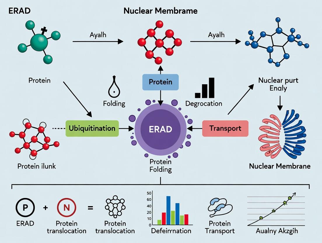 Beyond the Pore: How ERAD Mechanisms Enforce Quality Control at the Nuclear Envelope for Cellular Health and Disease