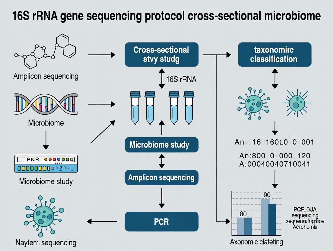 The Complete Guide to 16S rRNA Sequencing for Cross-Sectional Microbiome Studies: From Sample to Statistical Insight