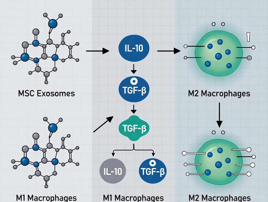 MSC Exosomes as Immunomodulatory Agents: Mechanisms and Applications in M2 Macrophage Polarization
