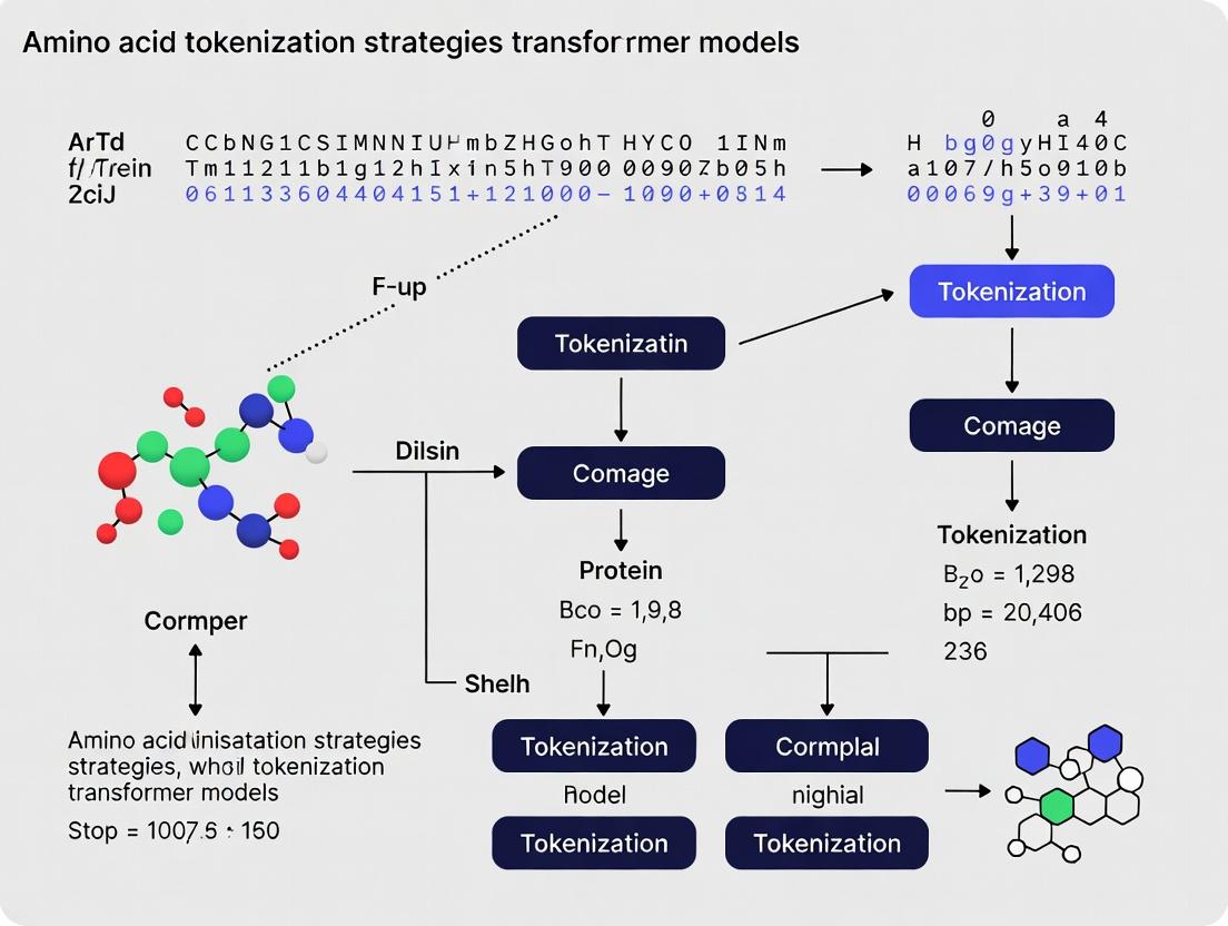 From Sequence to Vector: Advanced Amino Acid Tokenization Strategies for Transformers in Drug Discovery