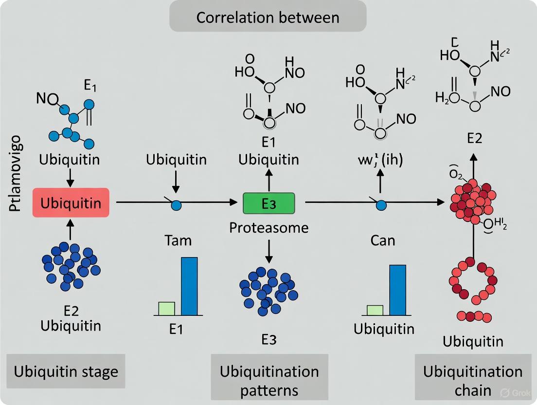 Ubiquitination Patterns as Stage-Specific Biomarkers and Therapeutic Targets in Cancer