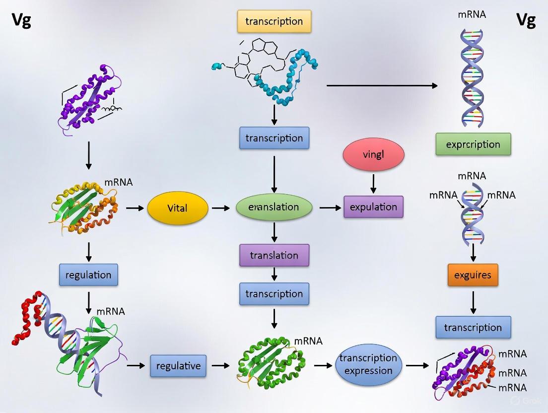 Vitellogenin (Vg) Gene Expression in the Insect Fat Body: Molecular Regulation, Functional Diversity, and Biomedical Potential