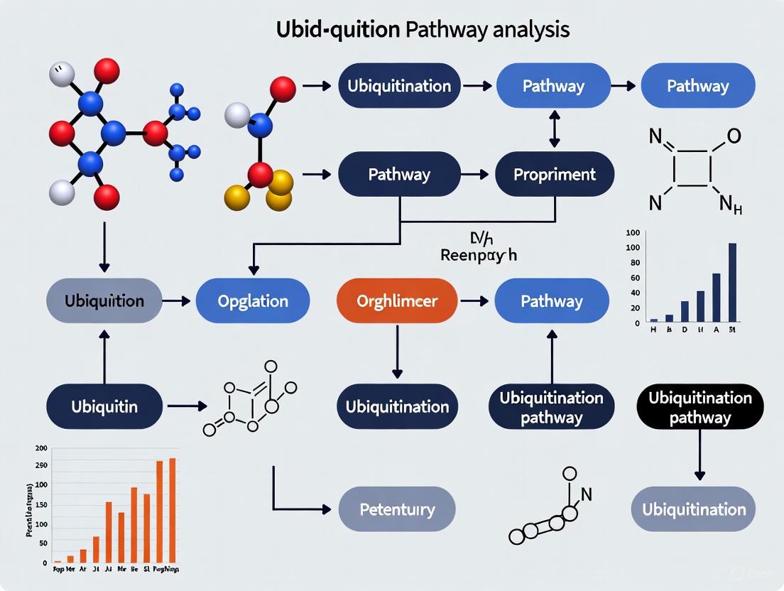 Improving Reproducibility in Ubiquitination Pathway Analysis: A Guide for Robust and Transparent Research
