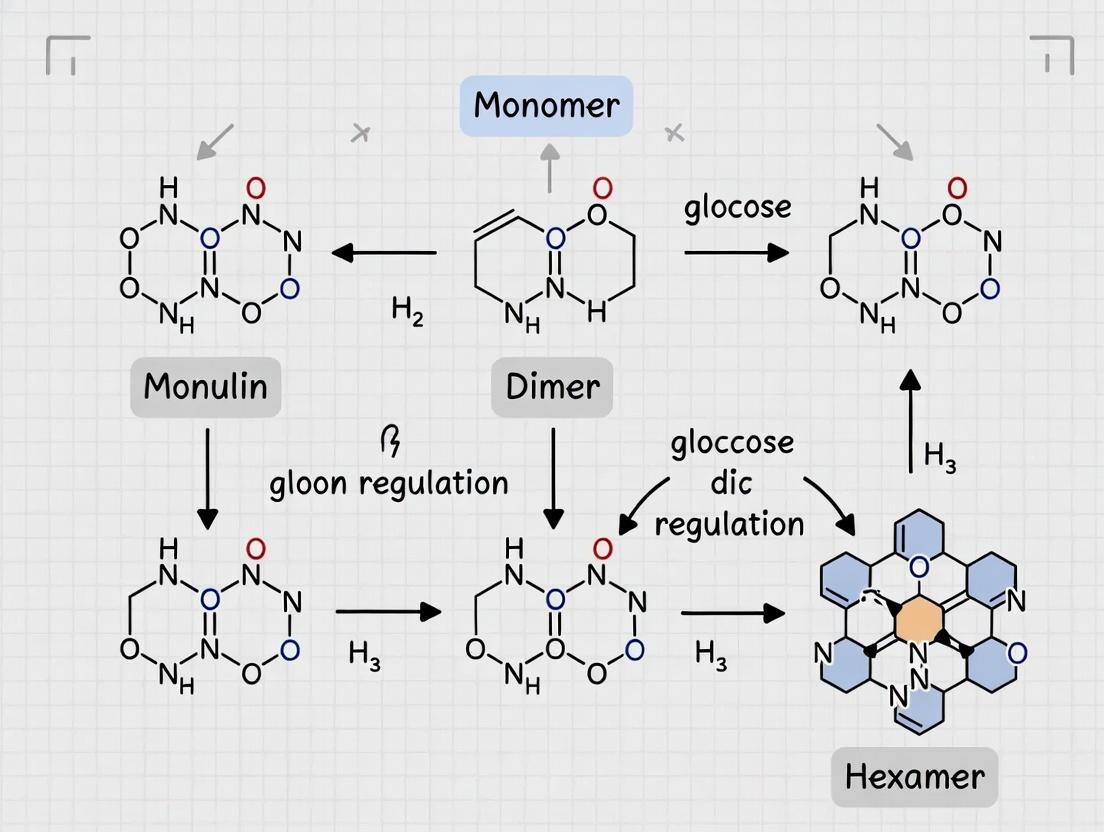 Insulin's Multimeric Blueprint: A Structural Guide to Monomers, Dimers, and Therapeutic Hexamers