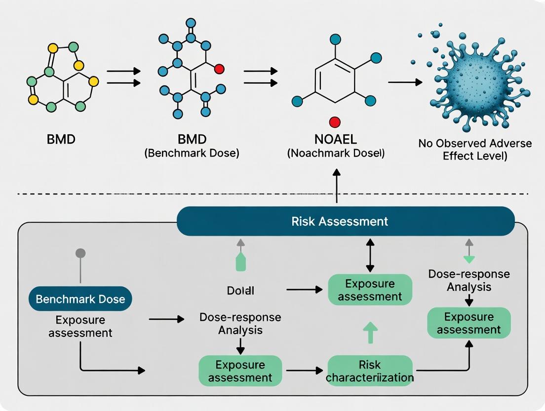 BMD vs. NOAEL in Modern Risk Assessment: A Scientific and Practical Guide for Researchers