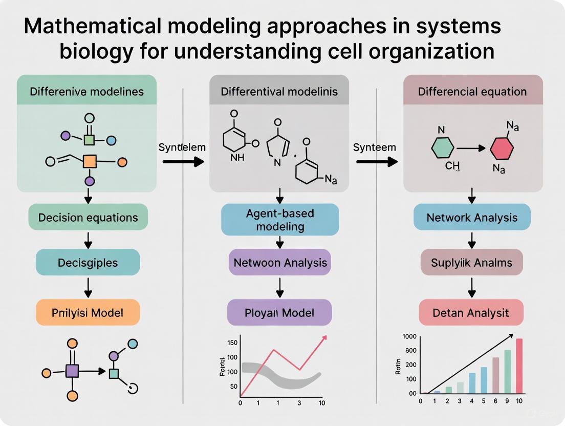 From Molecules to Networks: Mathematical Modeling Approaches for Decoding Cellular Organization in Systems Biology