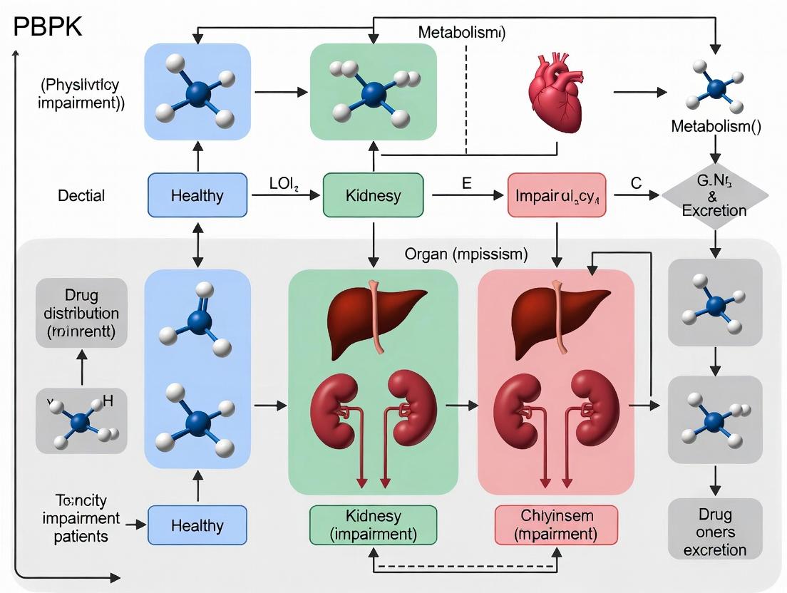 PBPK Modeling for Organ Impairment: Advancing Inclusive and Ethical Clinical Trials