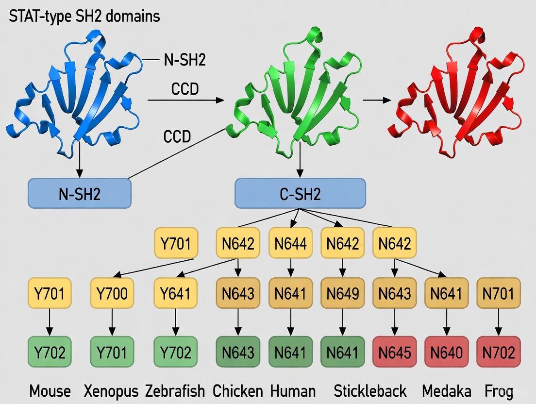 Ancient Guardians of Signaling: Evolutionary Conservation and Clinical Targeting of STAT-type SH2 Domains