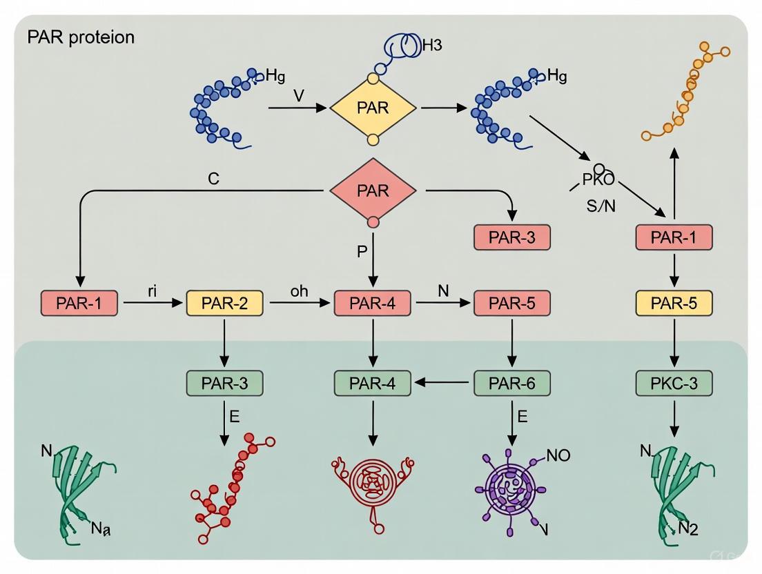 PAR Proteins and Gastrulation: Orchestrating Cell Polarity and Movement in C. elegans Development