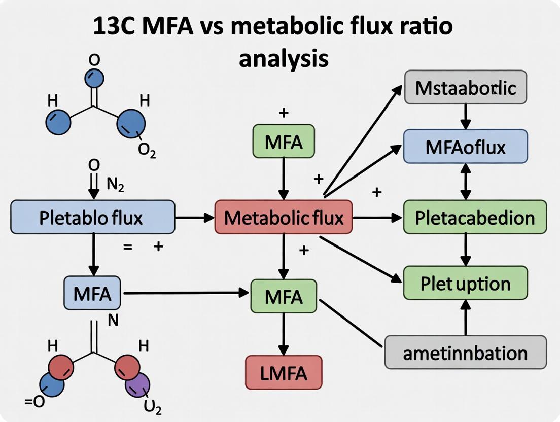 Decoding Cellular Metabolism: A Complete Guide to 13C MFA vs. Metabolic Flux Ratio Analysis in Biomedical Research