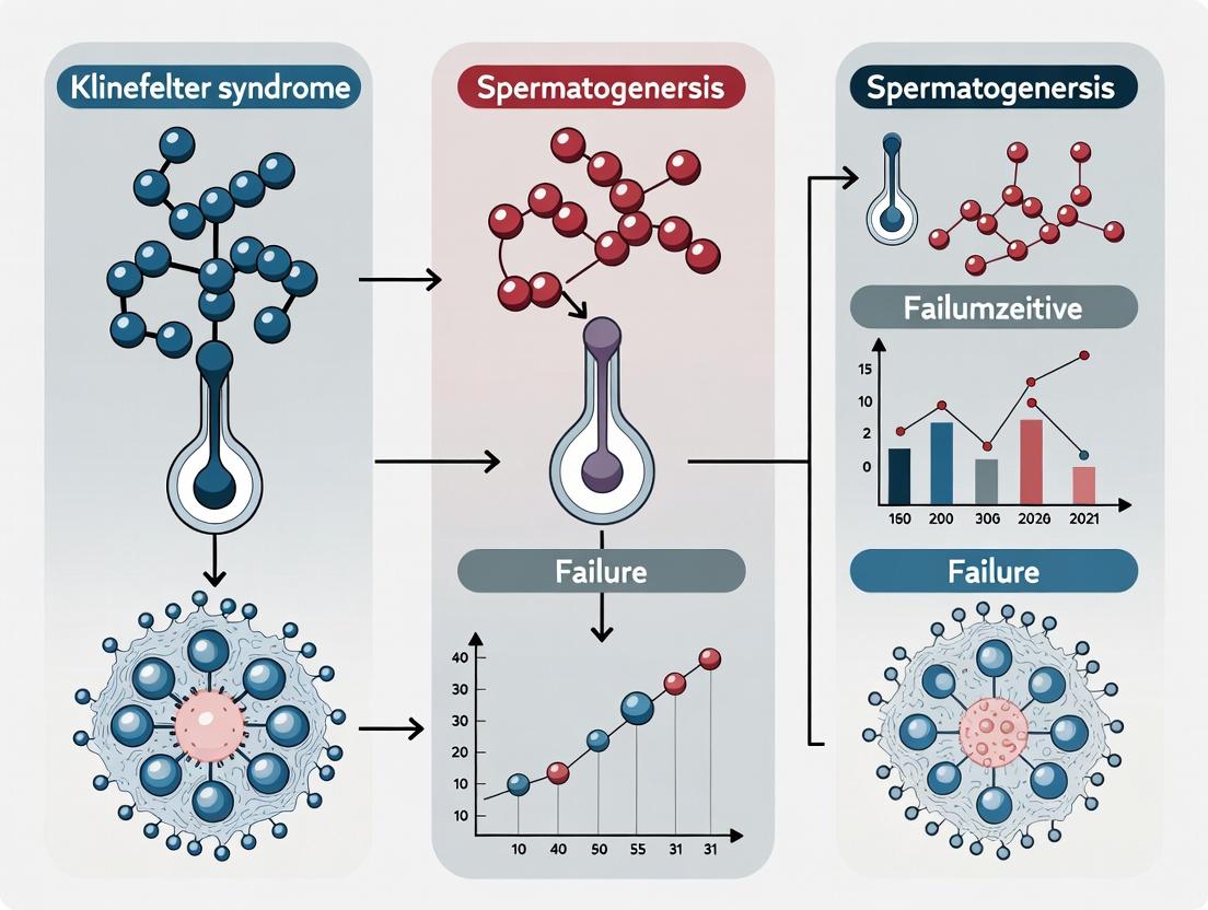 Understanding Spermatogenesis Failure in Klinefelter Syndrome: Pathophysiology, Research Models, and Therapeutic Avenues