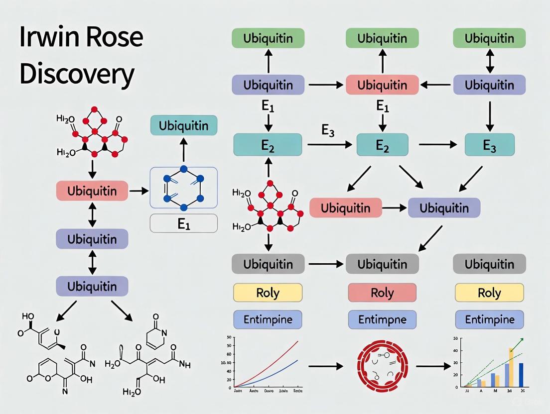 Irwin Rose and the Ubiquitin Revolution: How a Biochemical Discovery Transformed Cellular Biology and Drug Development