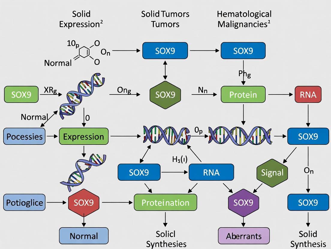 SOX9 in Oncology: A Dual-Faced Regulator Across Solid and Hematological Malignancies