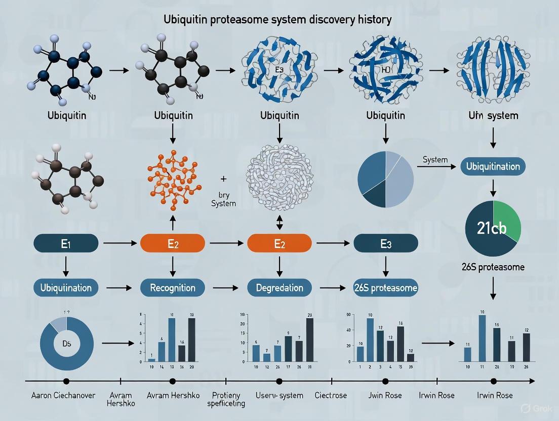 From Biochemical Curiosity to Clinical Breakthrough: The Discovery and Evolution of the Ubiquitin-Proteasome System