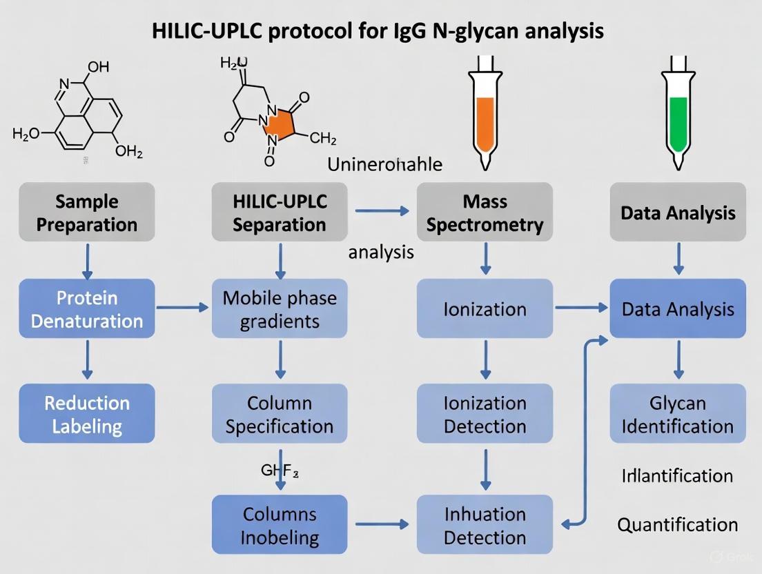 A Robust HILIC-UPLC Protocol for IgG N-Glycan Analysis: From Fundamentals to Clinical and Biopharmaceutical Applications