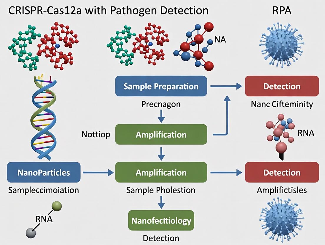 RPA-CRISPR/Cas12a: A Game-Changing, Isothermal Nucleic Acid Detection Platform for Rapid Pathogen Identification in Biomedical Research