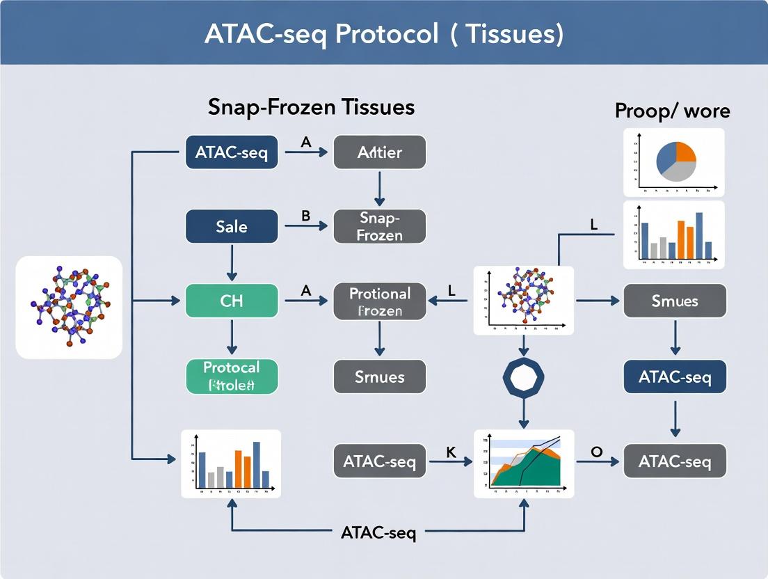 A Step-by-Step Guide to the ATAC-seq Protocol for Snap-Frozen Tissues: From Nuclei Isolation to Data Insights