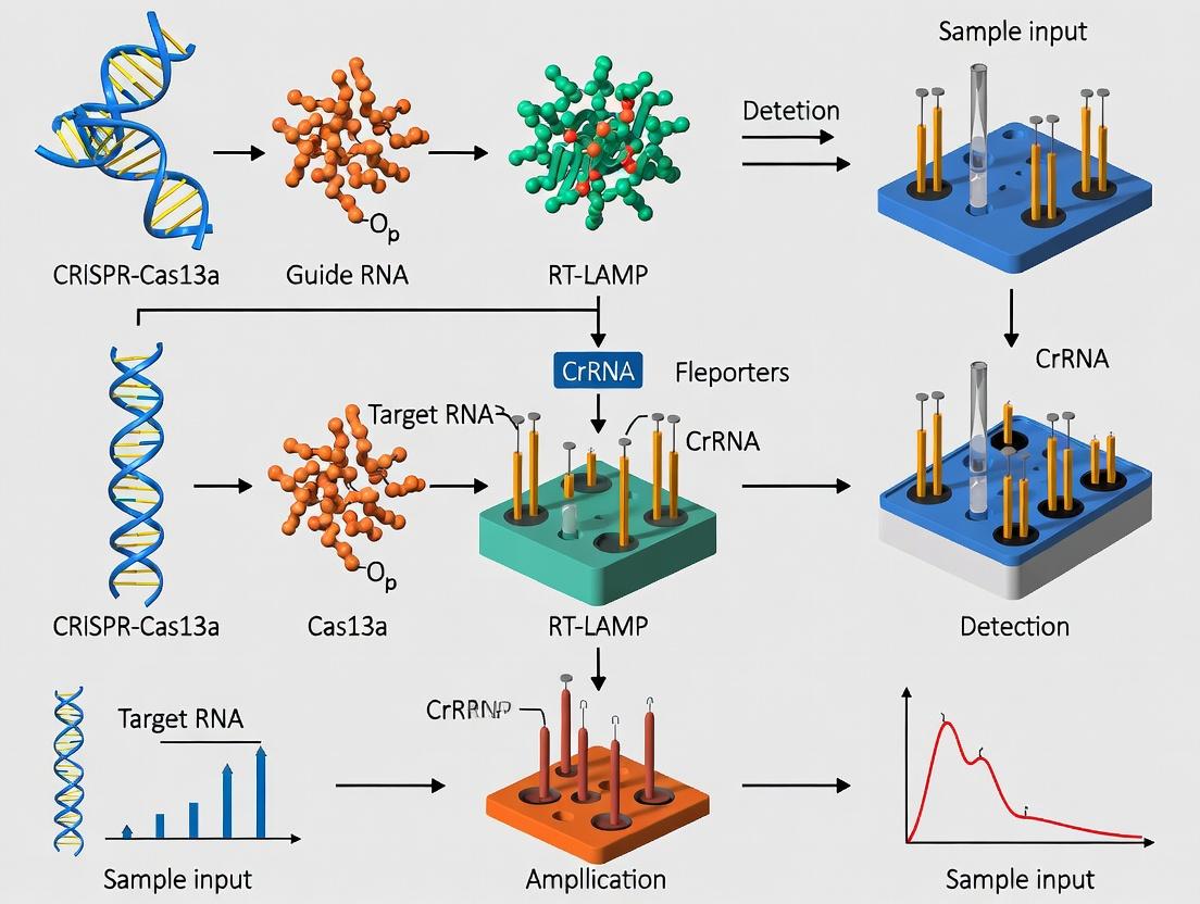 Next-Gen Diagnostics: Integrating CRISPR-Cas13a with RT-LAMP for Rapid, High-Throughput Pathogen Detection