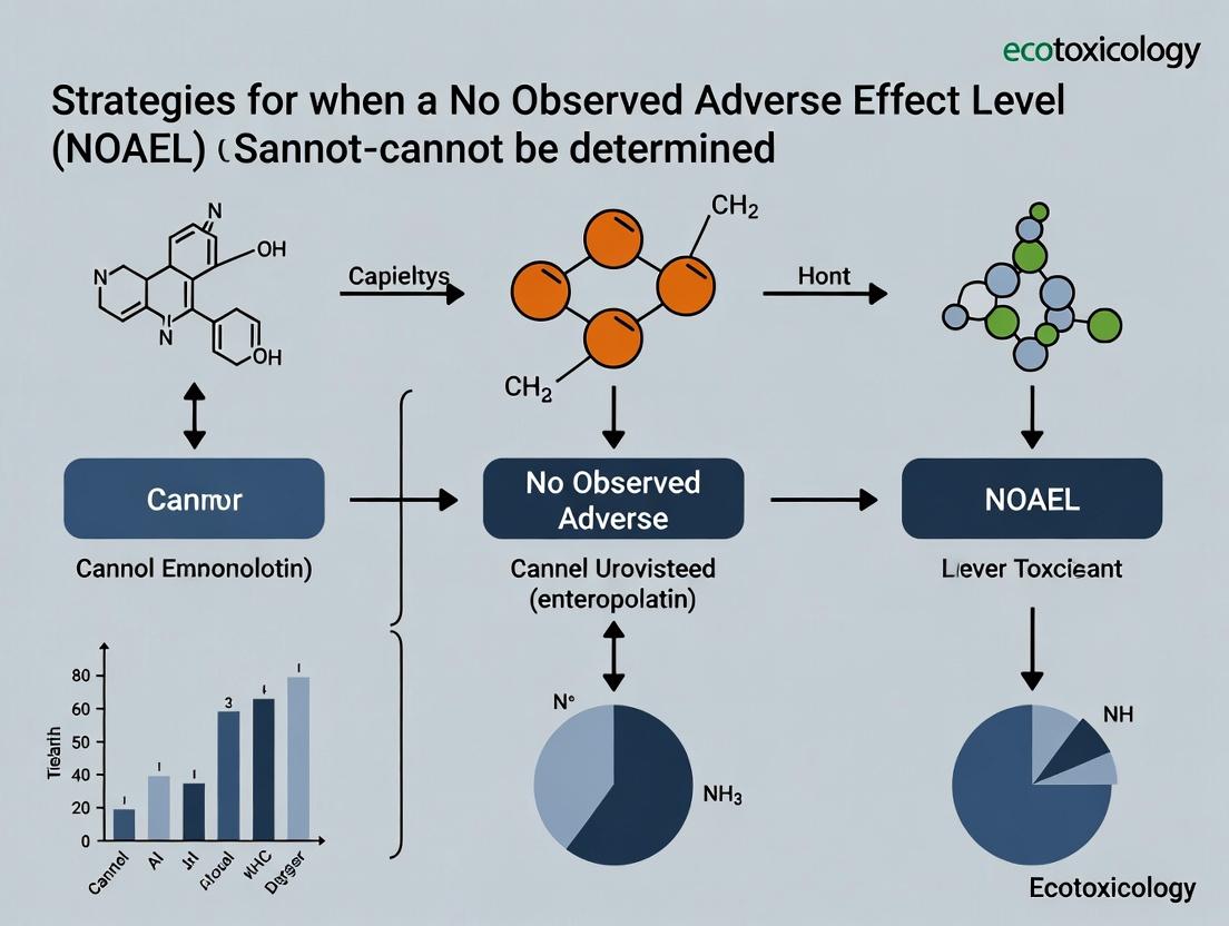 When NOAEL Cannot Be Determined: Modern Strategies and Alternative Approaches for Drug Safety Assessment