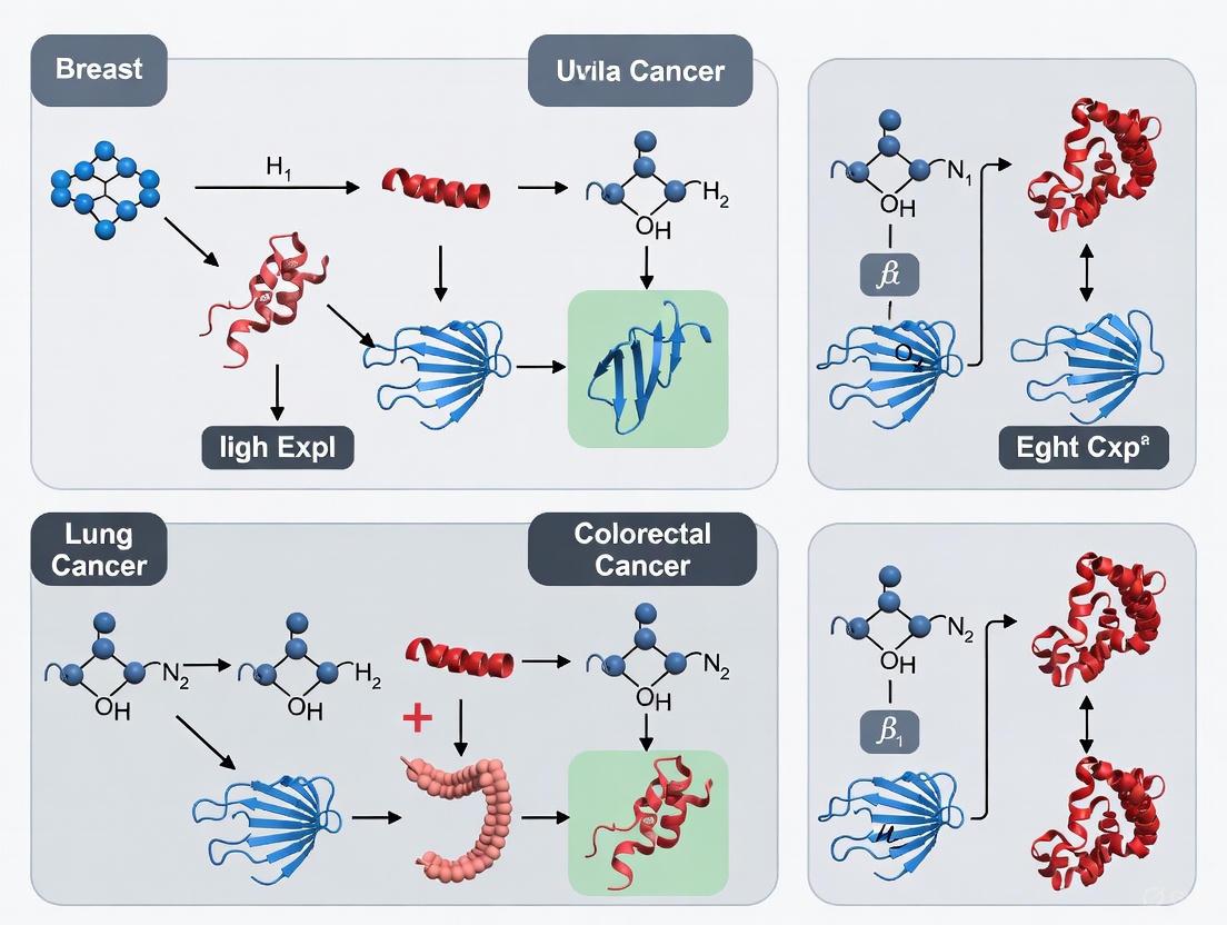 Comparative Analysis of Ubiquitination Pathways in Cancer: From Molecular Mechanisms to Precision Therapeutics