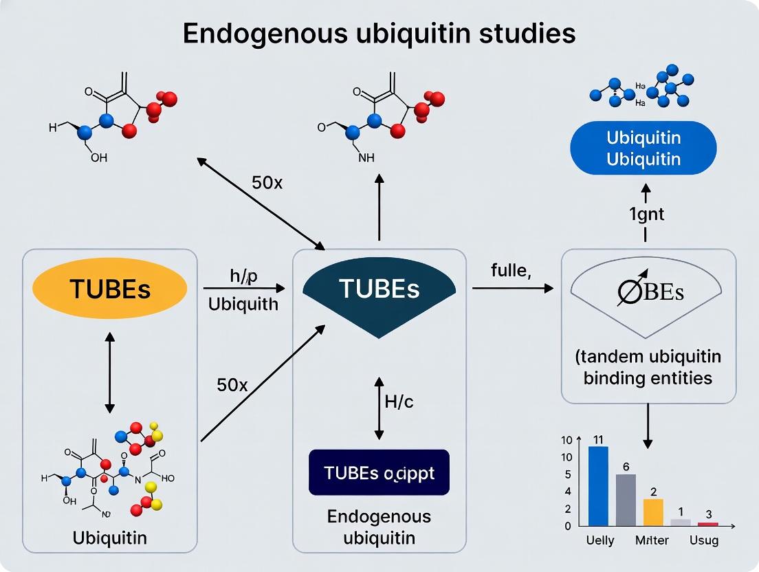 TUBEs in Ubiquitin Research: A Complete Guide to Endogenous Protein Isolation, Detection, and Analysis