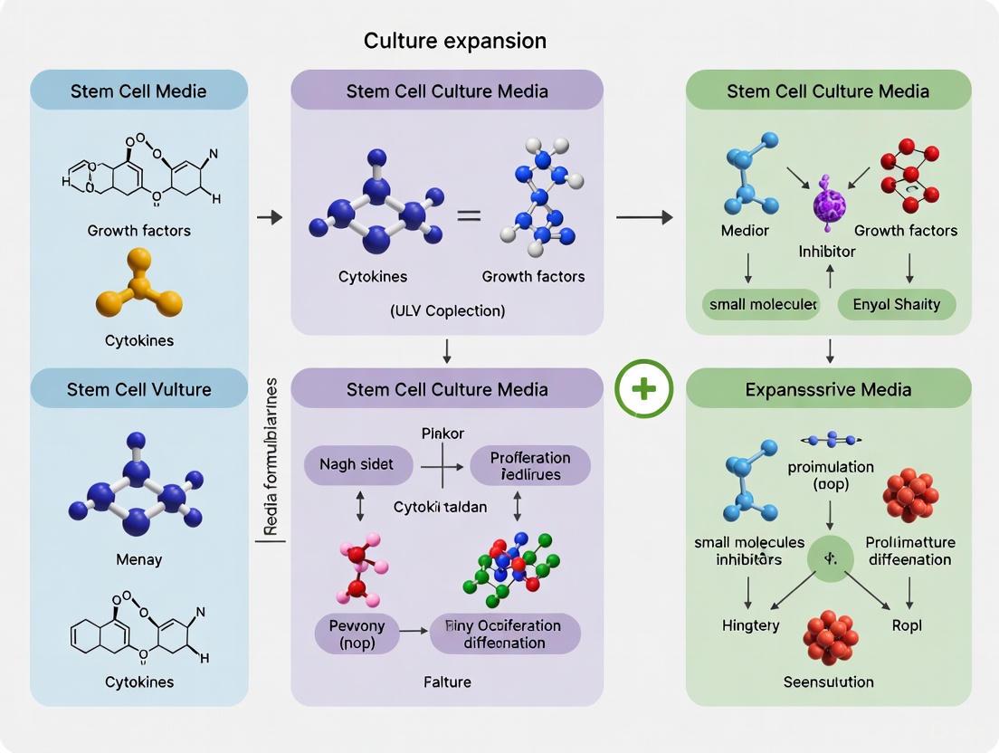 Optimizing Stem Cell Expansion: A 2025 Guide to Culture Conditions and Media Formulation