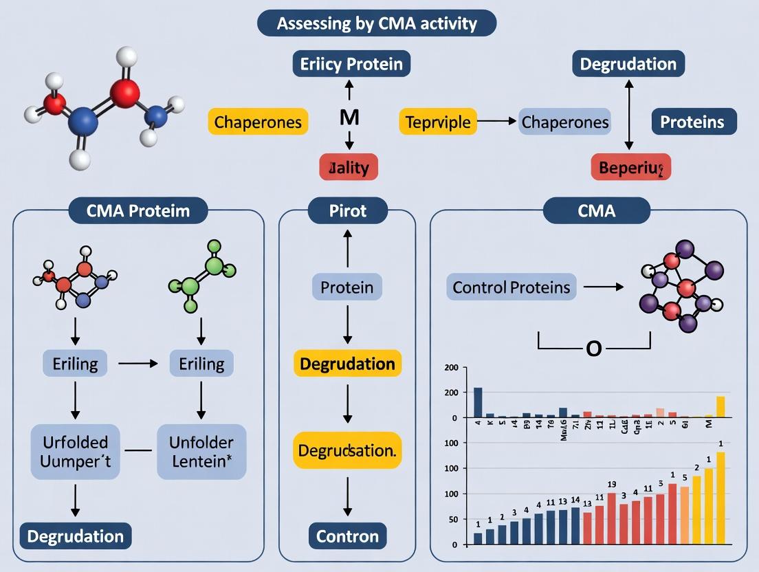 Evaluating Chaperone-Mediated Autophagy (CMA) in Neurodegenerative Models: A Comprehensive Guide for Researchers