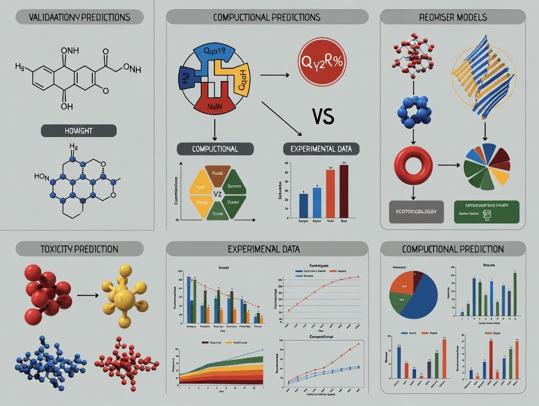 From Prediction to Proof: A Strategic Framework for Validating Computational Toxicity Models with Experimental Data