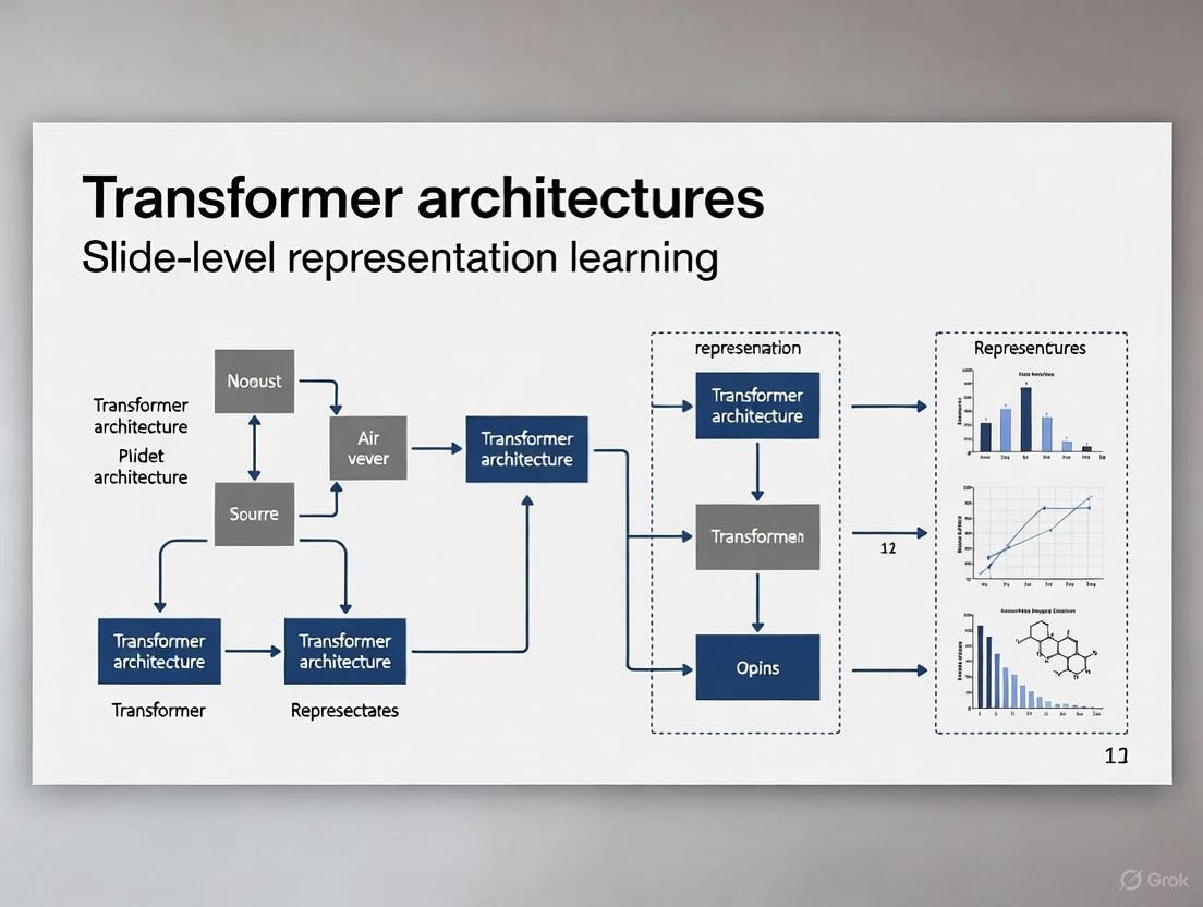 Transformer Architectures for Slide-Level Representation Learning: A Comprehensive Guide for Biomedical AI