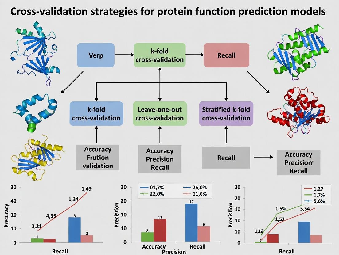 Robust Cross-Validation Strategies for Protein Function Prediction: A Practical Guide for Biomedical AI