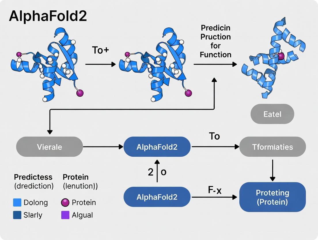 Beyond Structure: How AlphaFold2 is Revolutionizing Protein Function Prediction for Drug Discovery