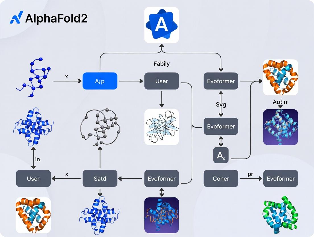 Unlocking Protein Folding: A Deep Dive into AlphaFold2's Evoformer Neural Network Architecture