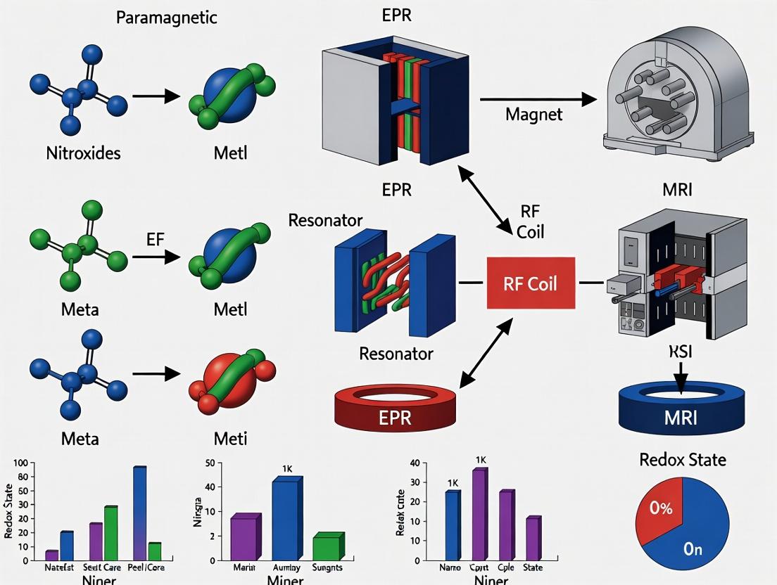 In Vivo Redox Imaging: Comparing EPR vs MRI for Real-Time Tissue Oxidation Status Analysis