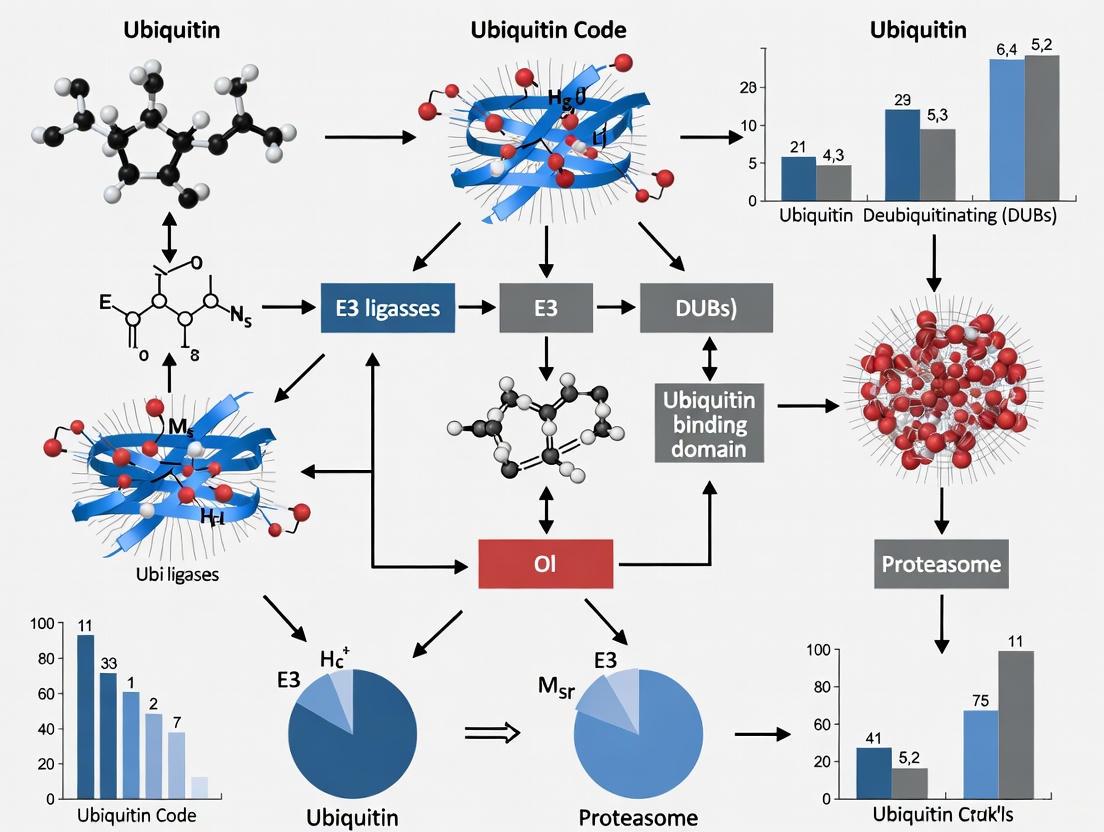 Decoding the Ubiquitin Code in Cancer: Mechanisms, Therapeutic Targeting, and Clinical Frontiers