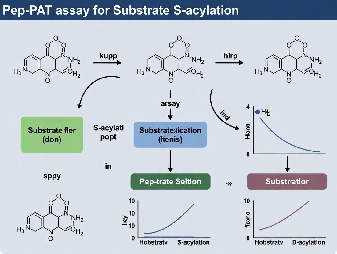 Pep-PAT Assay: A Comprehensive Guide for Profiling Protein S-Acylation Substrates in Biomedical Research