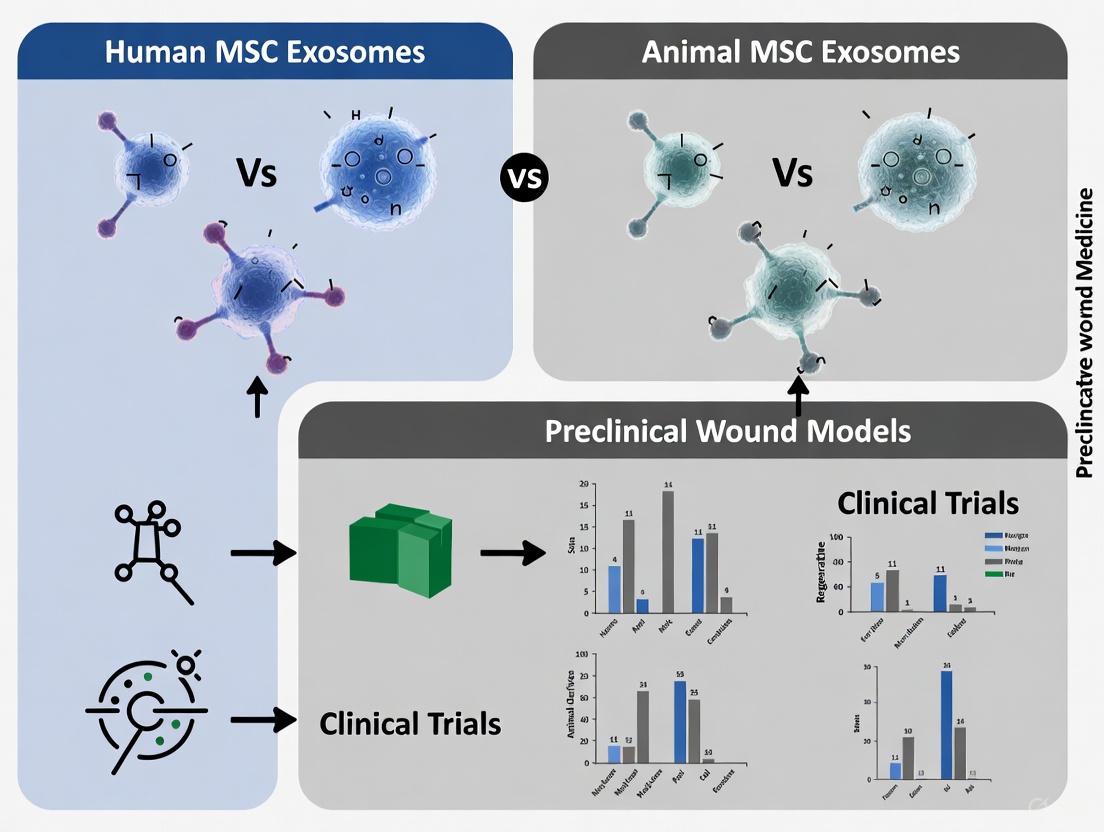 Source Matters: A Comparative Analysis of Human vs. Animal MSC Exosomes in Preclinical Wound Healing Models
