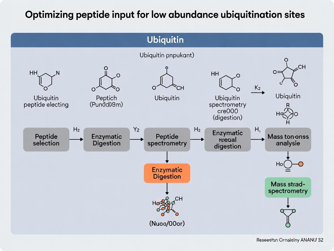Optimizing Peptide Input for Deeper Ubiquitinome Coverage: Strategies for Low-Abundance Site Enrichment