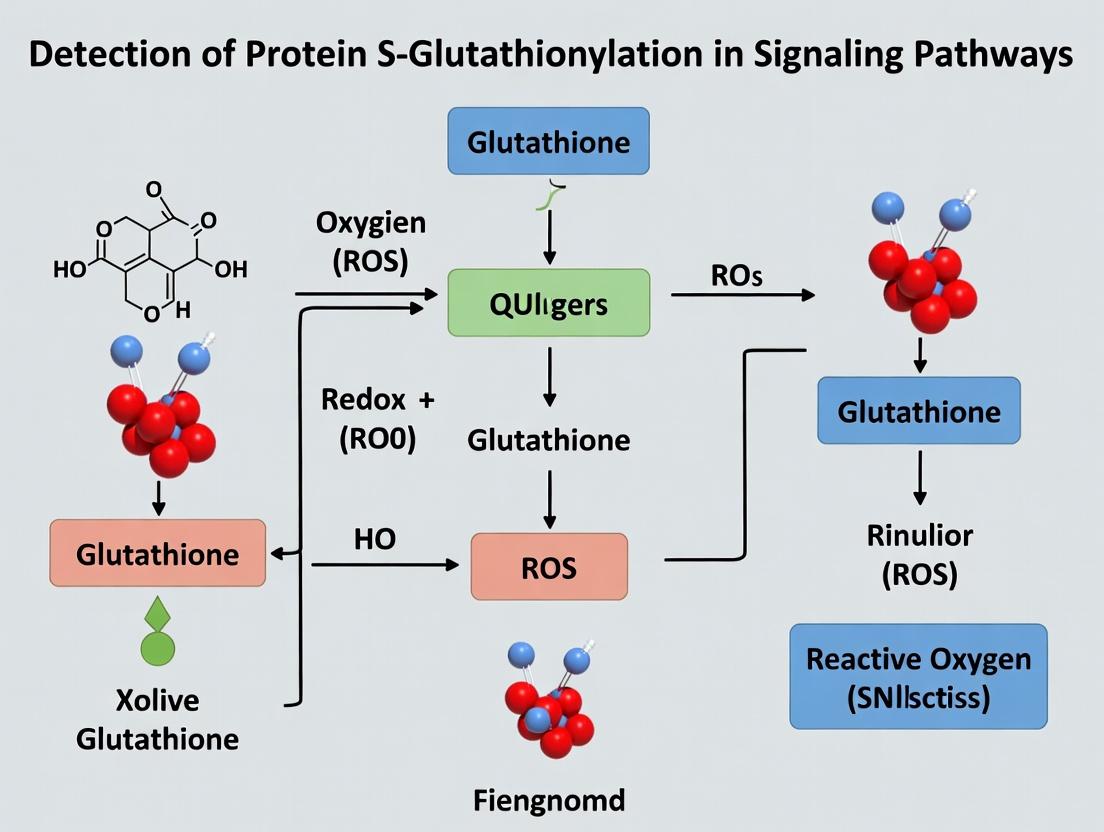 Unlocking Cellular Signals: A Comprehensive Guide to Detecting Protein S-Glutathionylation in Redox Signaling Pathways
