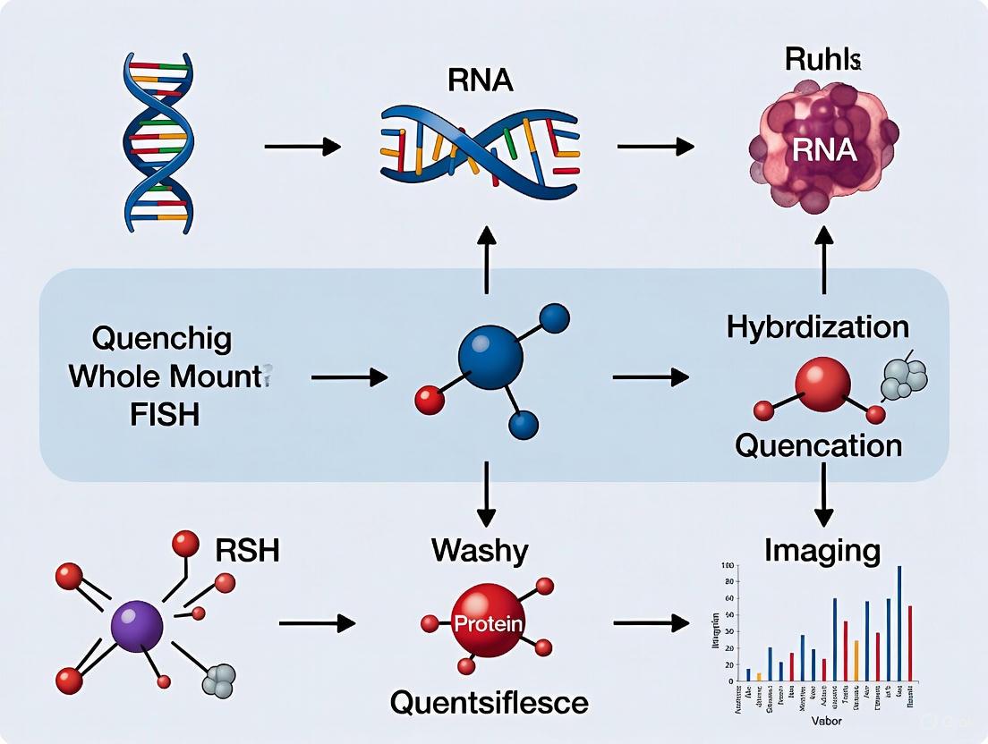 Advanced Strategies for Quenching Autofluorescence in Whole-Mount FISH: A Comprehensive Guide for Biomedical Researchers