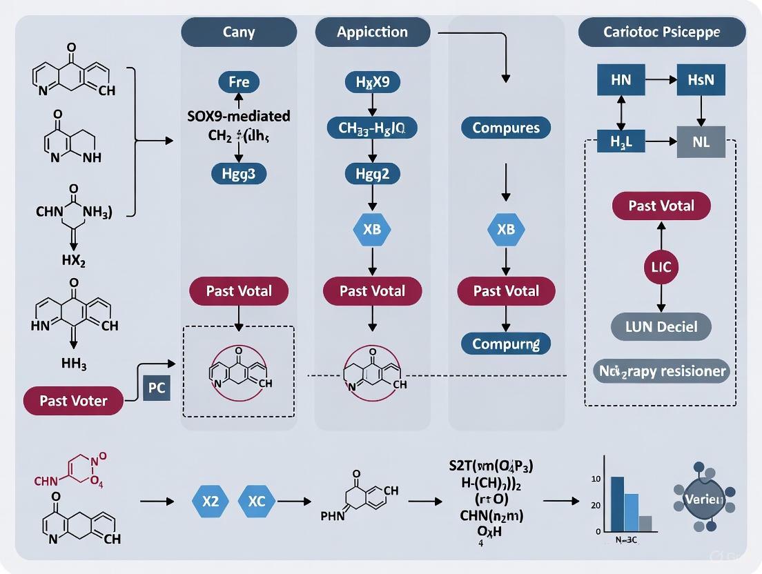 Targeting SOX9 to Overcome Therapy Resistance in Cancer: Mechanisms, Strategies, and Clinical Outlook