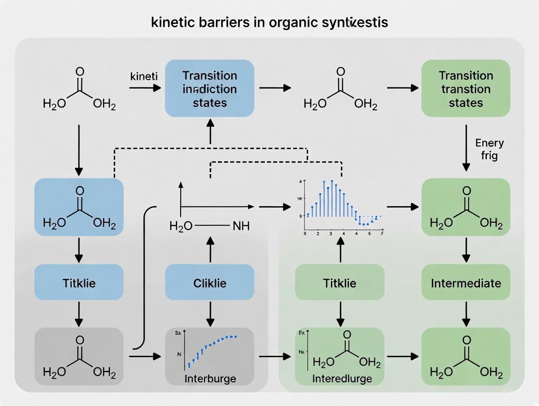 Overcoming Kinetic Barriers in Organic Synthesis: Strategies, Methodologies, and Applications in Drug Development