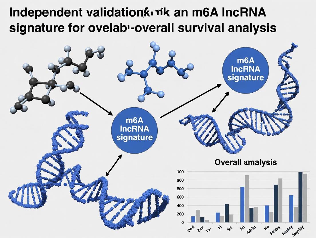 Independent Validation of m6A-Related lncRNA Signatures for Predicting Overall Survival in Cancer