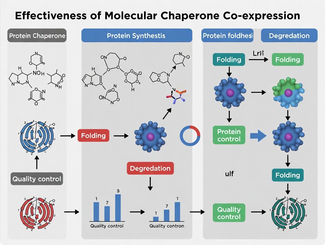 Molecular Chaperone Co-Expression: A Strategic Guide for Optimizing Protein Solubility and Yield in Research & Biopharma