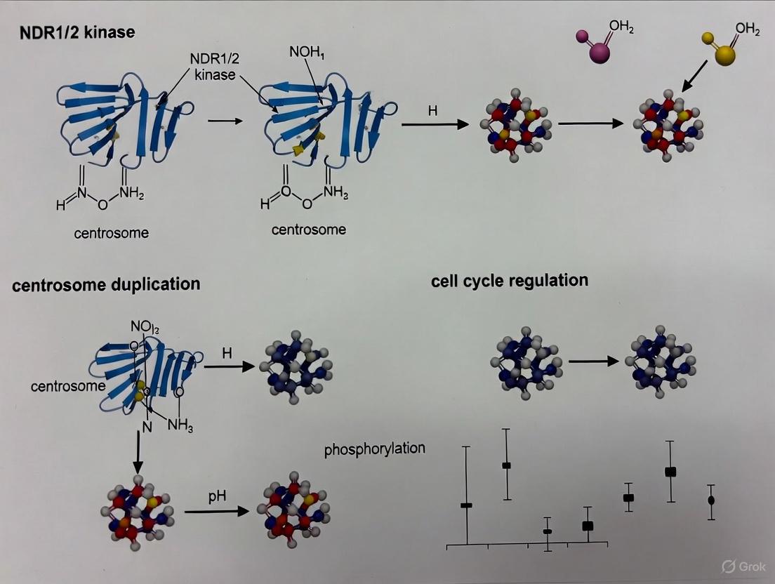 NDR1/2 Kinases in Centrosome Duplication: Regulatory Mechanisms and Therapeutic Implications