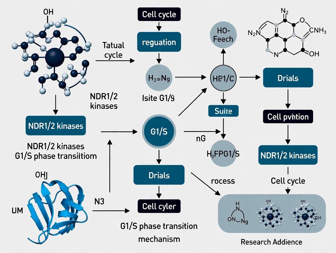 Decoding the G1/S Checkpoint: How NDR1/2 Kinases Govern Cell Cycle Progression and Offer Novel Cancer Therapeutic Avenues