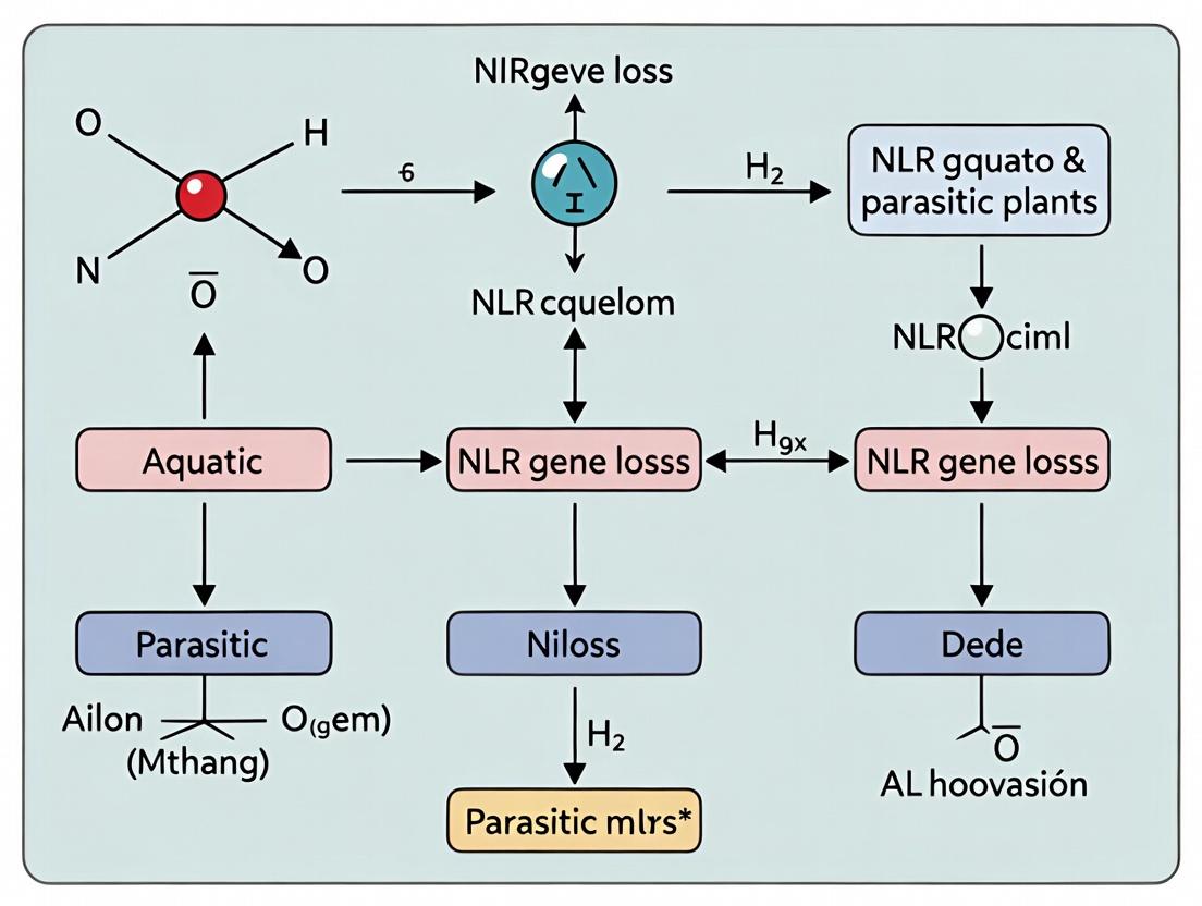 Missing Guardians: How NLR Gene Loss in Aquatic and Parasitic Plants Informs Human Innate Immunity and Drug Discovery