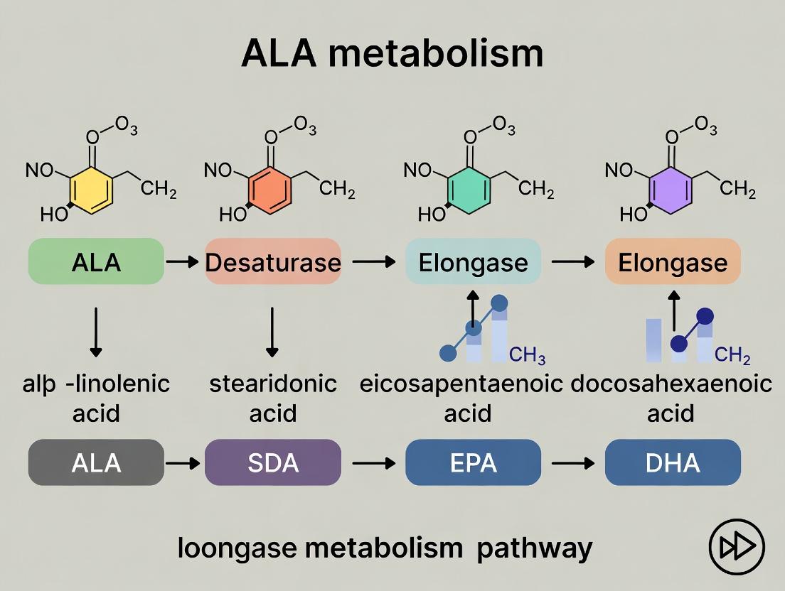Desaturase and Elongase Enzymes: A Comprehensive Guide to ALA Metabolism for Biomedical Research