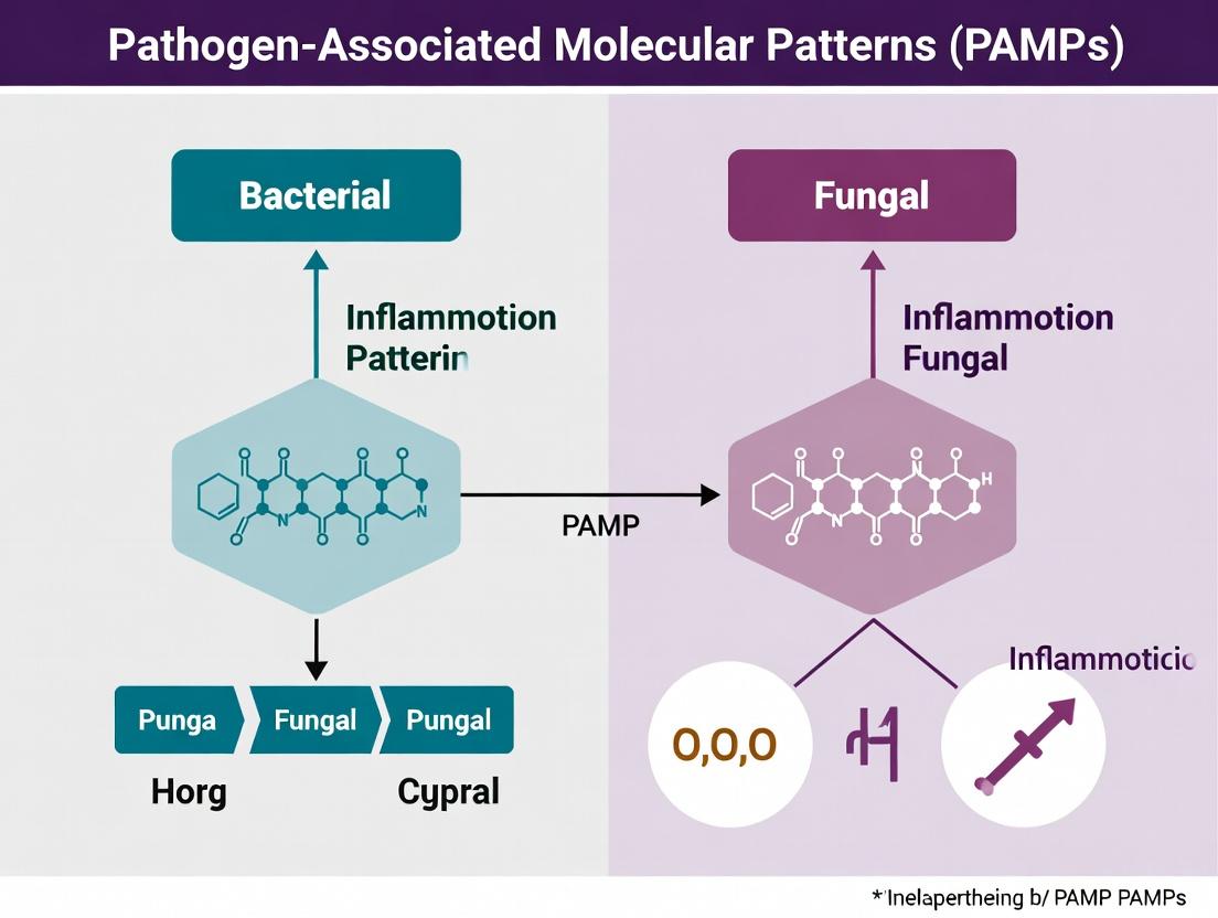 Bacterial vs. Fungal PAMPs: A Comparative Analysis of Immunostimulatory Efficacy for Therapeutic Applications